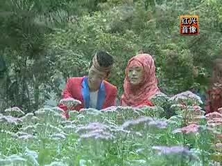 青海花儿胡汉三\/\/张海三闪令 视频-免费在线观