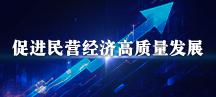 促进民营经济高质量发展