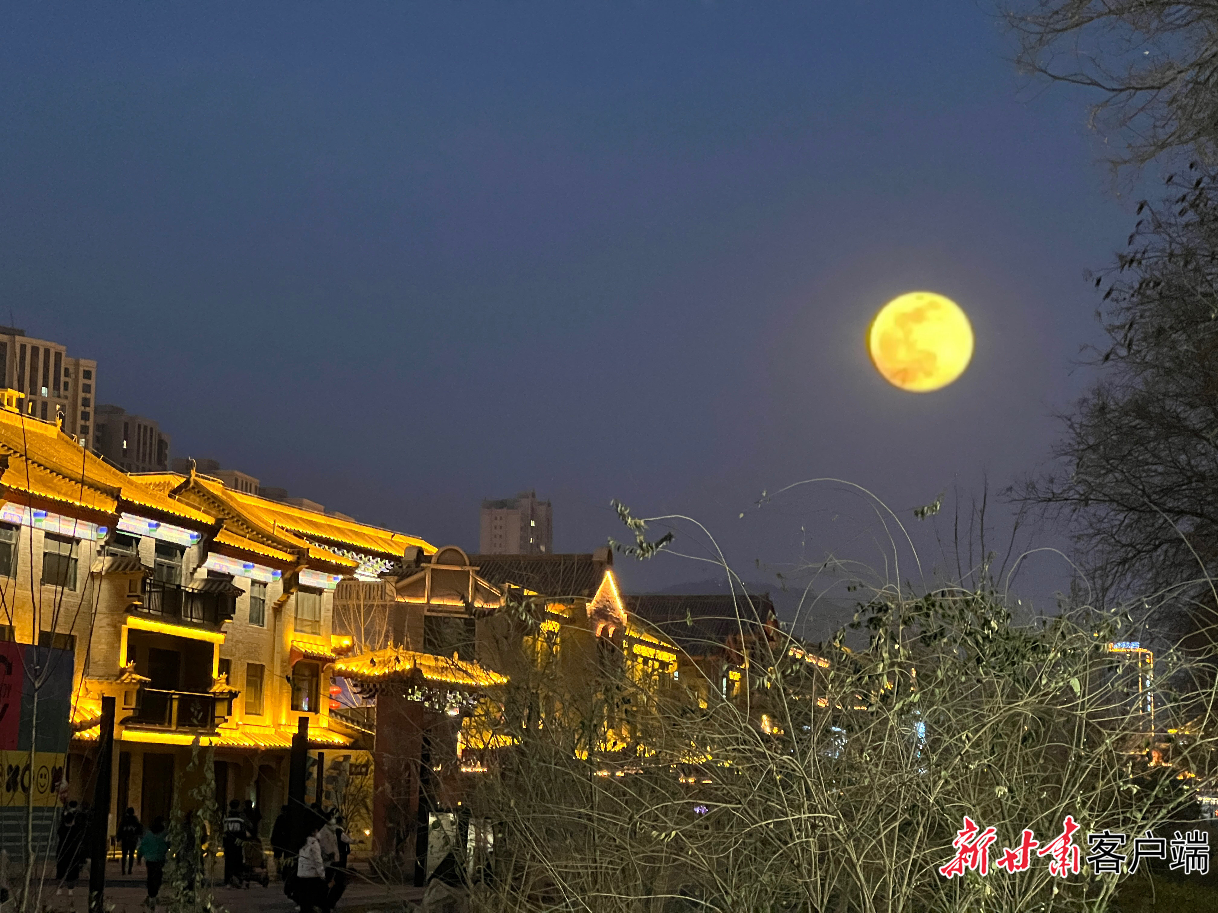 月圆之夜