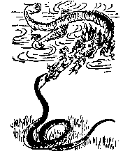 第四十八象 辛亥（未来）---推背图